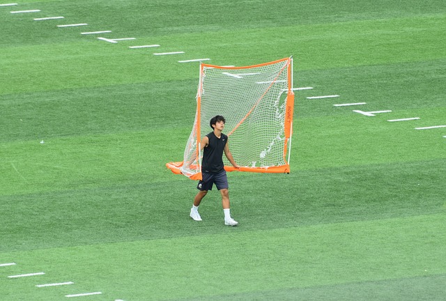 由于及时采
