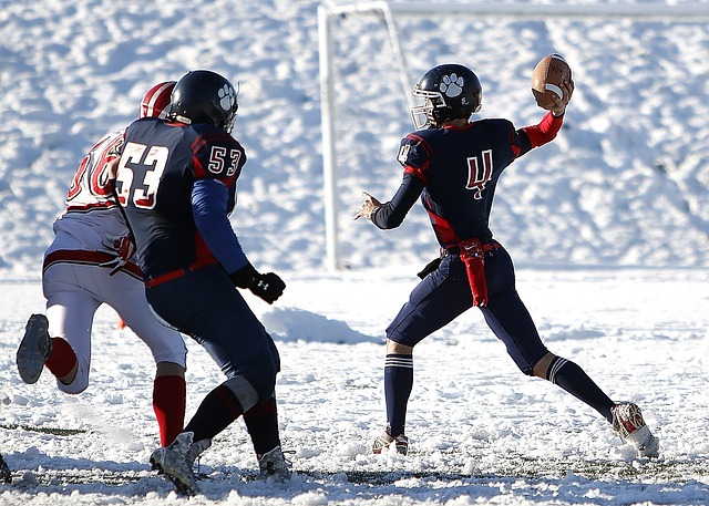 来高回报 来高回报