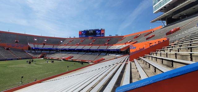 将为你带来 将为你带来