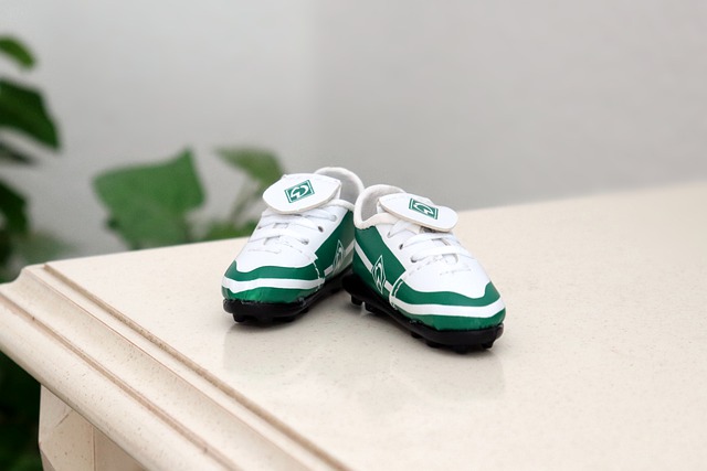 全健康管理 全健康管理