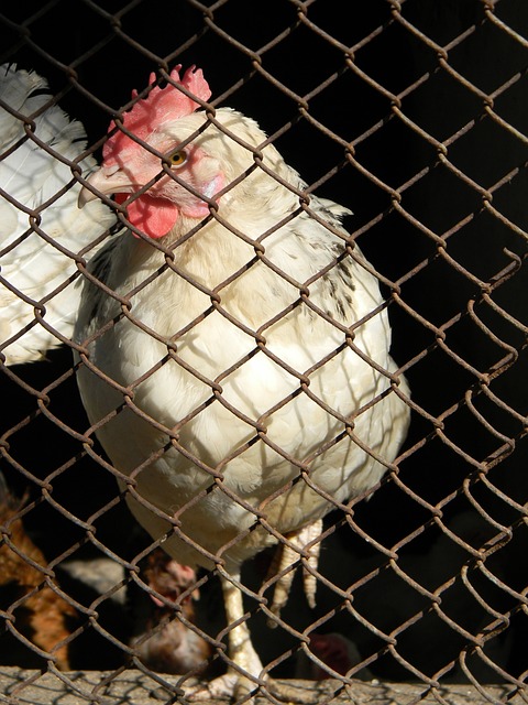 人达成续约 人达成续约