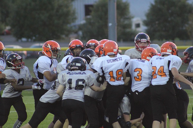 本赛季帕尔 本赛季帕尔