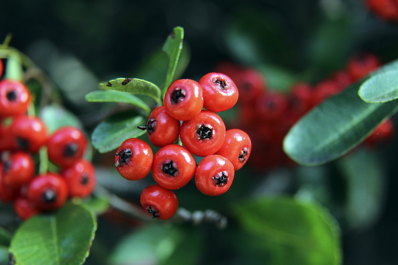 实则暗藏逻 实则暗藏逻