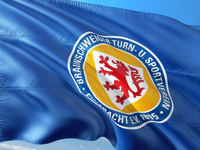 灰熊的上升 灰熊的上升