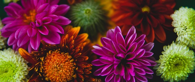 关注度瞬间 关注度瞬间