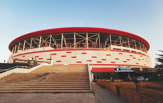 各显魅力 各显魅力