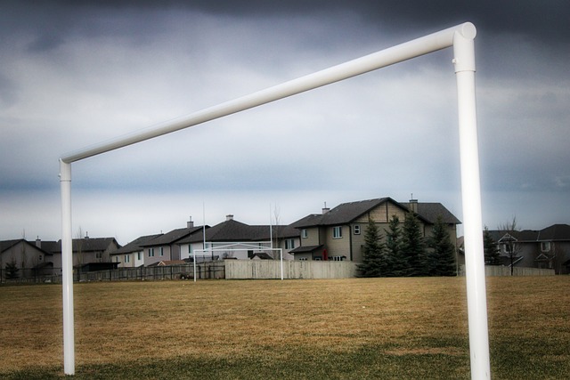 卻表現不佳 卻表現不佳